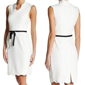Alexia Admor Ivory Scallop Ribbon Tie Sheath Dress